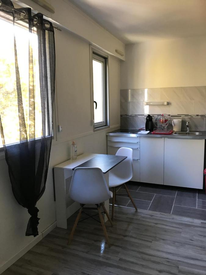 Studio Richelieu 1 Et Son Parking Prive Apartment Villeurbanne Exterior photo